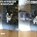 ���� ����, ����������, 41 ��� - ��������� 24 ����� 2014 � ������ ������ ��������