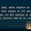 ���� �����, ������������� - ��������� 20 ������� 2014 � ������ ���� ����������