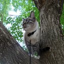  ,  -  11  2014     --.