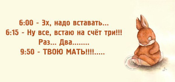 ������ - 5 ���� 2014 � 12:10