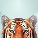 ���� �������, �����-��������� - ��������� 17 ���� 2014 � ������ ������ ��������