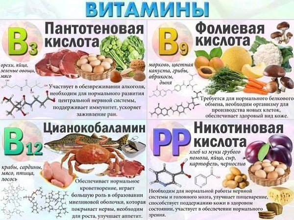 Знай, откуда взять необходимые витамины. Тем более летом их нужно получать только из натуральных ... - 2