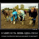 ���� �������, ������, 45 ��� - ��������� 23 ��� 2014 � ������ ����������