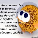 ���� �����, ������������, 56 ��� - ��������� 2 ���� 2014 � ������ ������ ��������