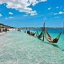 ���� ����.. �� ������� ���� ����������