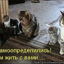 ���� ������, �������, 68 ��� - ��������� 6 ������ 2014 � ������ ������ ��������