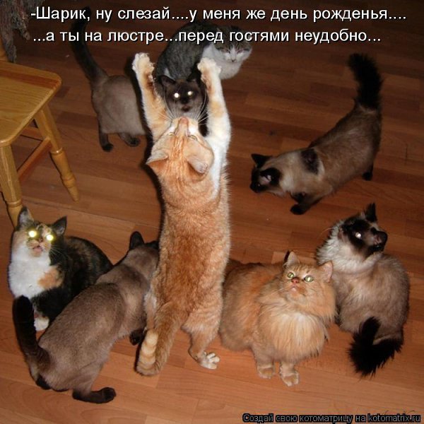 Marina - 28 ���� 2014 � 07:25