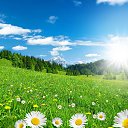 ���� Yalcin, ��������, 53 ���� - ��������� 20 ���� 2014 � ������ ������ ��������