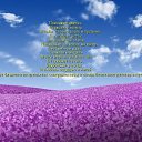 ���� ������, ����� - ��������� 25 ���� 2014 � ������ ������ ��������