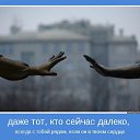 ���� �, �����������, 43 ���� - ��������� 4 ���� 2014 � ������ ������ ��������