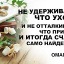 ���� ���, ����������, 46 ��� - ��������� 4 ������ 2014 � ������ ������ ��������