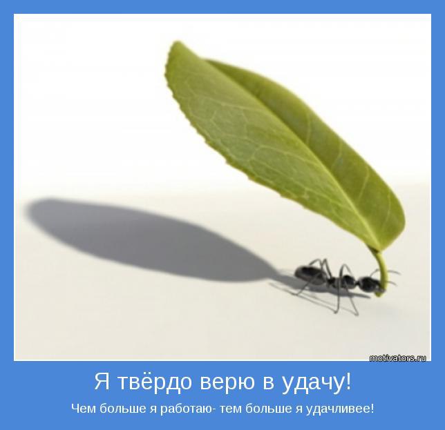 - - 29  2014  17:27 - 27