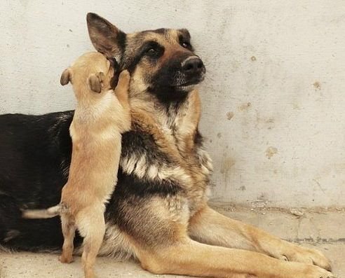  =)