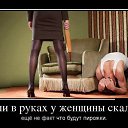 ���� ���������, ������ - ��������� 12 ������� 2014 � ������ ������ ��������