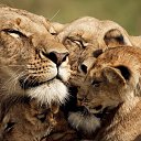 ���� �������, ������, 51 ��� - ��������� 20 ����� 2014 � ������ ��������