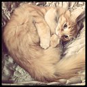 ���� �����, �����������, 38 ��� - ��������� 24 ���� 2014 � ������ ������ ��������