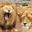���� �������, �������� - ��������� 27 ��� 2014 � ������ ������ ��������