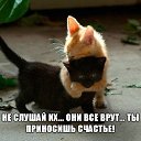 ���� ������, �����, 52 ���� - ��������� 12 ��� 2014 � ������ ������ ��������