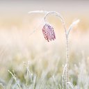 ���� Vinder, ������, 50 ��� - ��������� 13 ��� 2014 � ������ ������ ��������