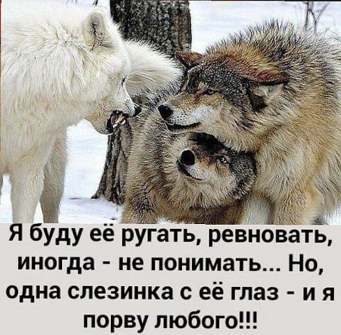 Истинная любовь - это когда отпускаешь и ждешь возвращения