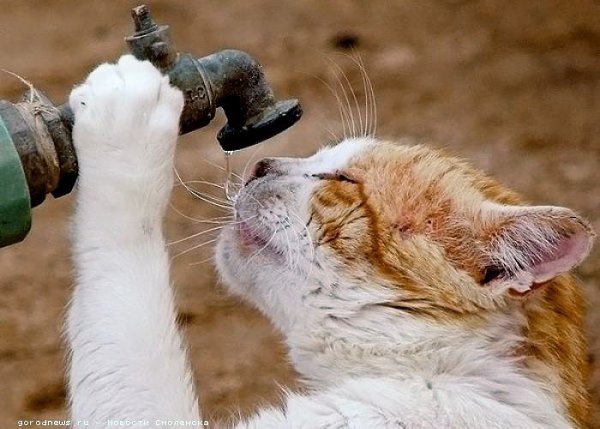 !    ,        -    , ...