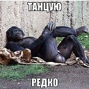 ���� Ta��, ������ - ��������� 1 ���� 2014 � ������ ������ ��������