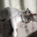 ���� Olga, ����������� - ��������� 21 ������� 2014 � ������ ���� ����������