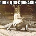 ���� ����, ����� - ��������� 15 ���� 2014 � ������ ������ ��������