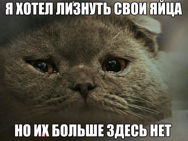 �� ��������� ������ �������������� ����� ��� ����� �������, ��� �� ���, �������, �� �