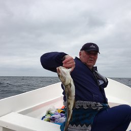 ���� Yury, ������, 73 ���� - ��������� 24 ������ 2014