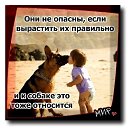 ���� �����, ������, 51 ��� - ��������� 8 ��� 2014 � ������ ������ ��������