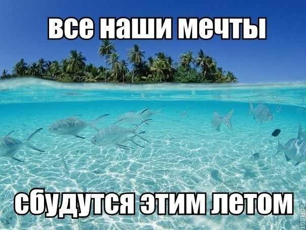 Andrei - 26  2014  11:15