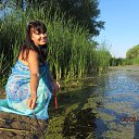 ���� ������, ������ - ��������� 5 ������� 2014 � ������ ������ ��������