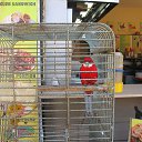 ���� �����, ���������, 63 ���� - ��������� 22 ���� 2014 � ������ �������,���.����,��������� �����