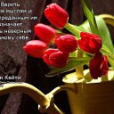 ���� �..., ���������, 28 ��� - ��������� 20 ���� 2014 � ������ ���� ����������