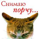 ���� ������, ����� - ��������� 18 ���� 2014 � ������ ���� ����������