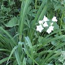 ���� �� ������� ���� ����������