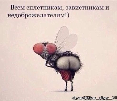����� - 23 ���� 2014 � 09:49