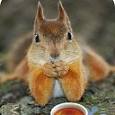 ���� �����, �������, 63 ���� - ��������� 20 ��� 2014 � ������ ���� ����������