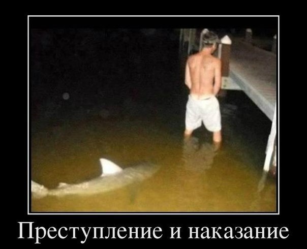 ����������� (18+) - 11 ���� 2014 � 16:53