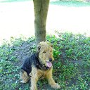 ���� ������, ������, 49 ��� - ��������� 6 ���� 2014 � ������ ������� �������