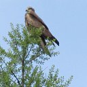 ���� �������, ������� - ��������� 25 ���� 2014 � ������ ���� ����������