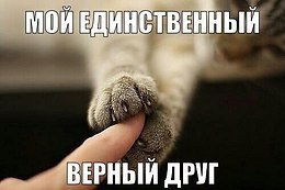 K���� K����� - 22 ���� 2014 � 13:33