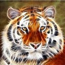 ���� ����, ������, 49 ��� - ��������� 2 ���� 2014 � ������ ���� ����������