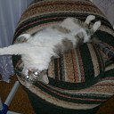 ���� ����!, ���������, 61 ��� - ��������� 19 ������� 2014 � ������ ������ ��������