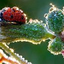 ���� ��������, �������, 51 ��� - ��������� 26 ��� 2014 � ������ ������ ��������