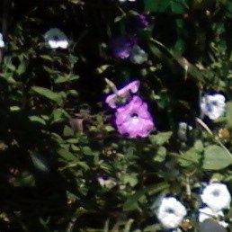 Ginnays, ������-��-����, 32 ����