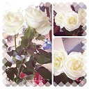 ���� Natasha, ���� - ��������� 28 ����� 2014 � ������ ������ ��������