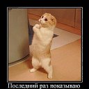 �����������.... �� ������� ���� ����������