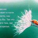 ���� �������, �������, 47 ��� - ��������� 14 ��� 2014 � ������ ���� ����������